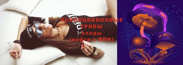 тгк Липки