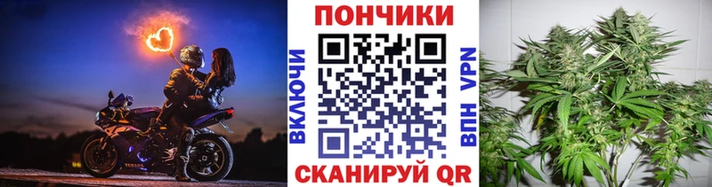 закладка  Суворов  МАРИХУАНА сатива 